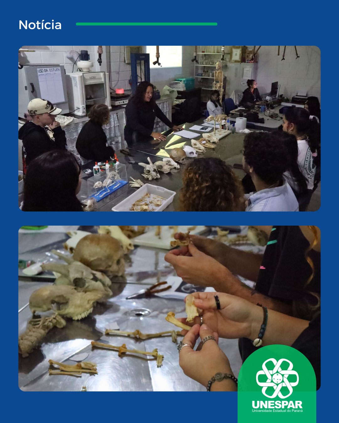 XVII Sembio e XIV Sempa reúnem estudantes e pesquisadores com minicursos, exposição de banners e pesquisas ambientais