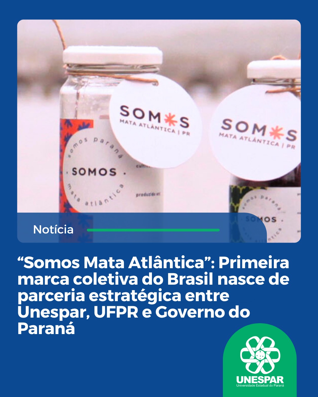 Somos Mata Atlântica