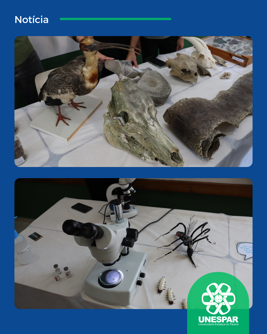 Campus de Paranaguá inicia ano letivo com intensa programação cultural e acadêmica no primeiro dia da Calourada 2026