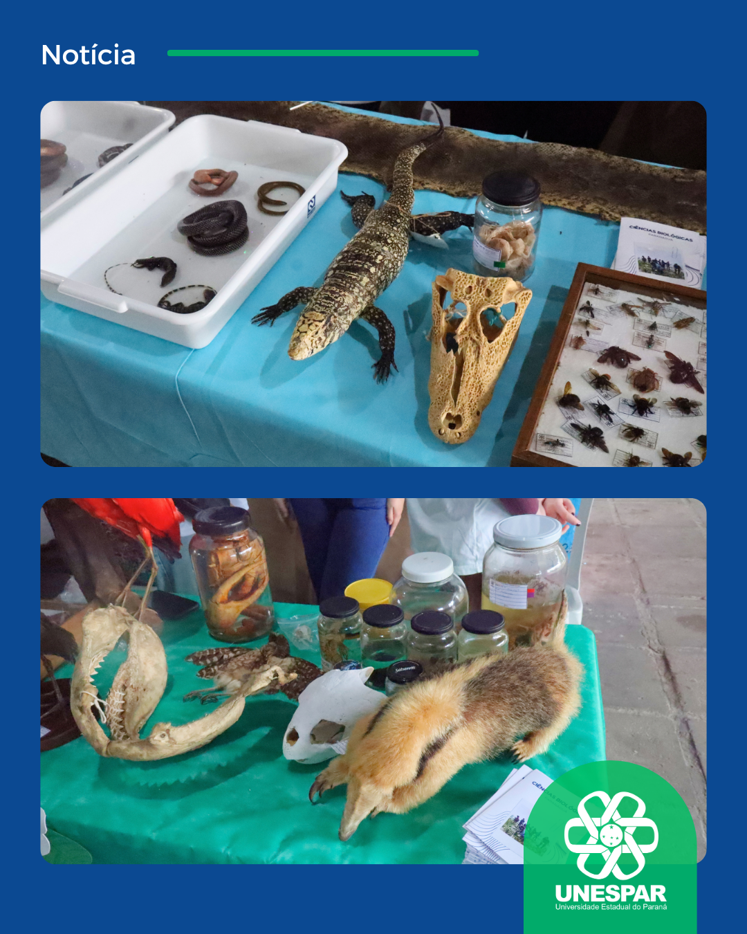 Ciências Biológicas leva conhecimento e meio ambiente à comunidade com o evento Biologia na Praça