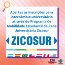 zicosur.png