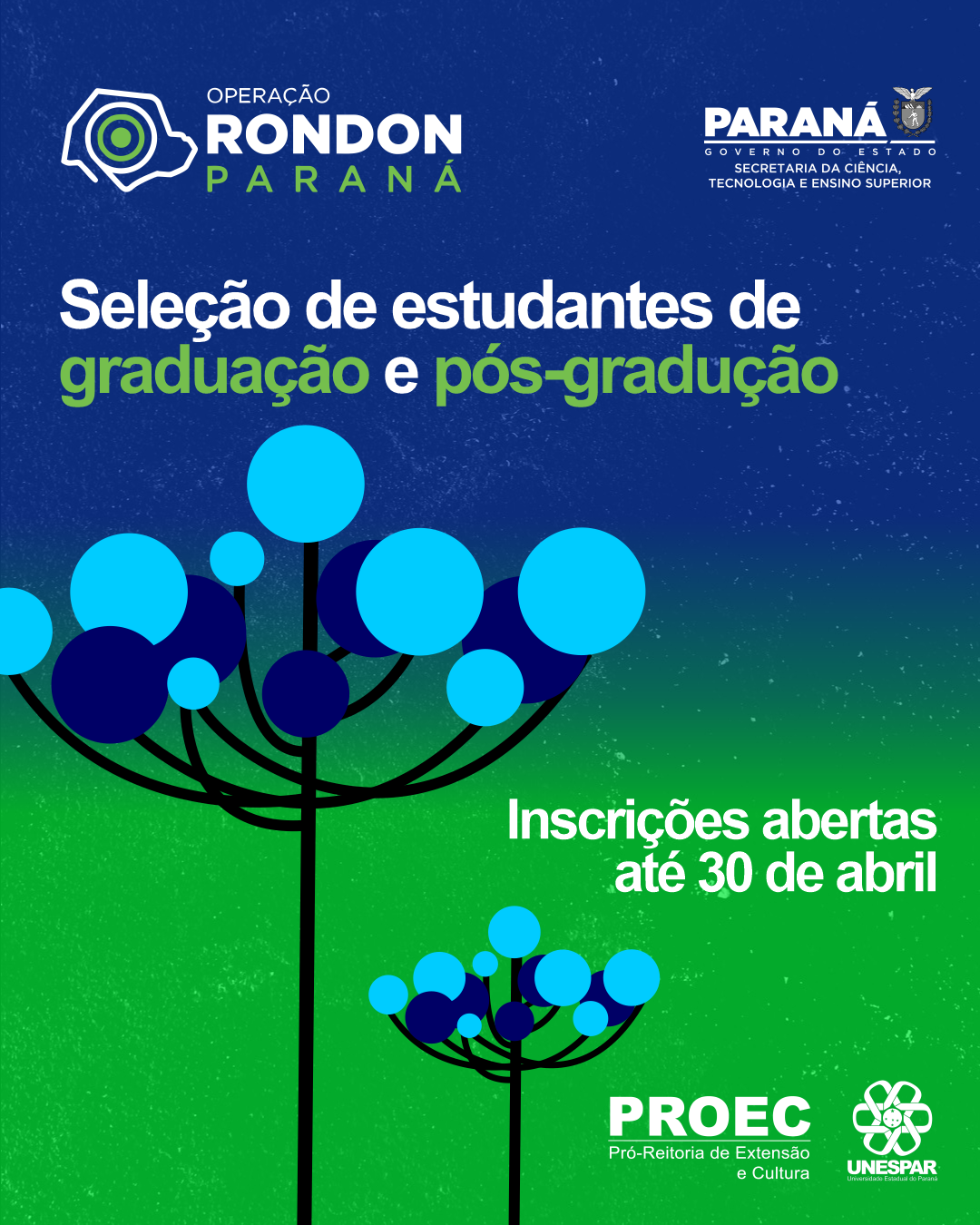 Proec abre inscrições para seleção de estudantes para o Projeto Rondon Paraná 2026
