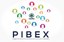 Pibex (logo)