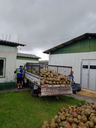Projeto da Unespar aproveita casca de coco verde, preserva meio ambiente e gera renda no litoral.png