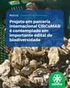 Projeto em parceria internacional CIRCuMAR é contemplado em importante edital de biodiversidade